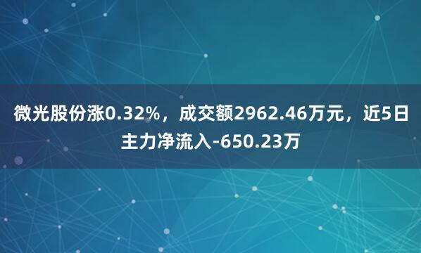 微光股份涨0.32%，成交额2962.46万元，近5日主力净流入-650.23万