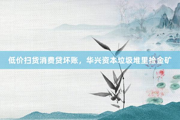 低价扫货消费贷坏账，华兴资本垃圾堆里捡金矿
