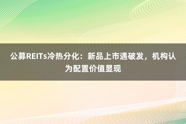 公募REITs冷热分化：新品上市遇破发，机构认为配置价值显现
