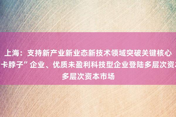 上海：支持新产业新业态新技术领域突破关键核心技术“卡脖子”企业、优质未盈利科技型企业登陆多层次资本市场