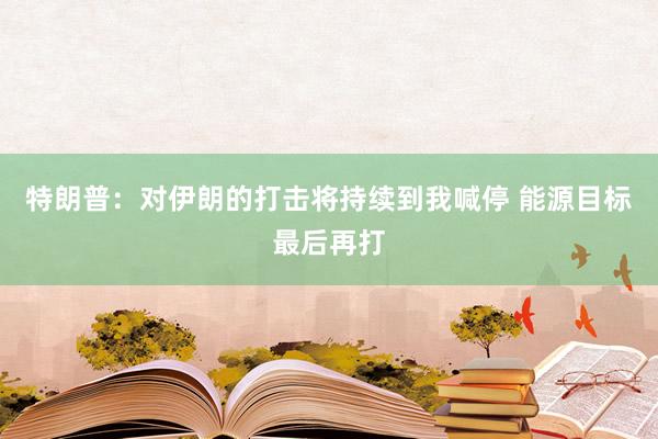 特朗普：对伊朗的打击将持续到我喊停 能源目标最后再打