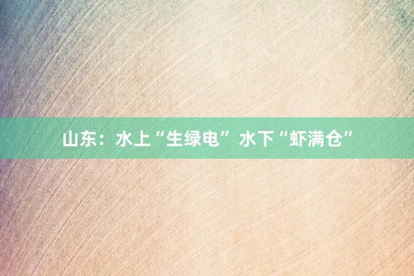 山东：水上“生绿电” 水下“虾满仓”