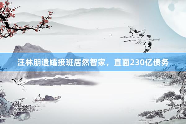 汪林朋遗孀接班居然智家，直面230亿债务