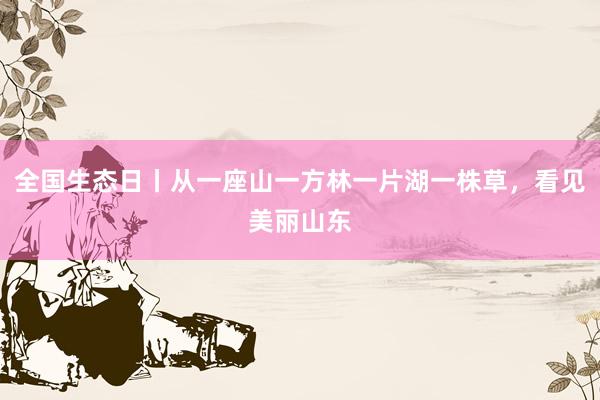 全国生态日丨从一座山一方林一片湖一株草，看见美丽山东