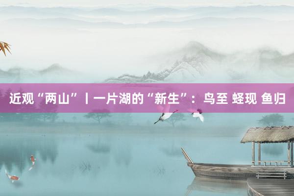 近观“两山”丨一片湖的“新生”：鸟至 蛏现 鱼归
