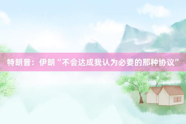 特朗普：伊朗“不会达成我认为必要的那种协议”