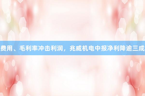 费用、毛利率冲击利润，兆威机电中报净利降逾三成