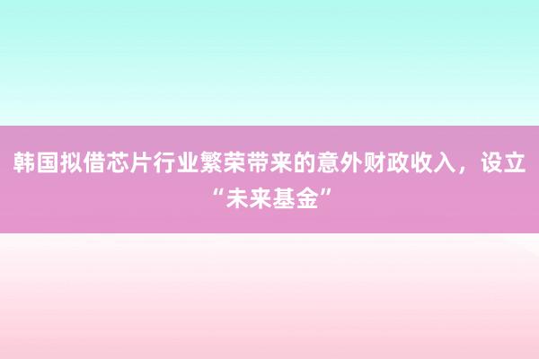 韩国拟借芯片行业繁荣带来的意外财政收入，设立“未来基金”