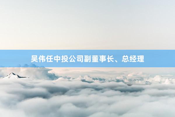吴伟任中投公司副董事长、总经理
