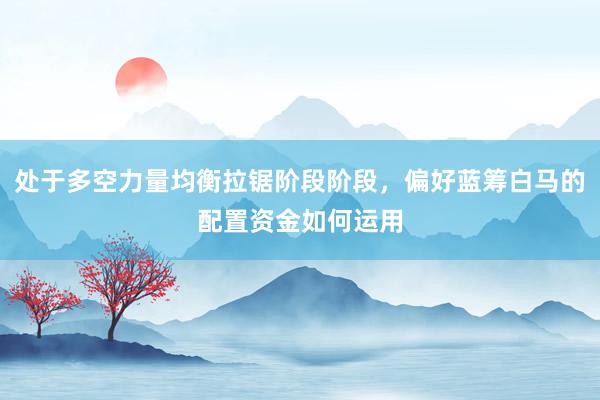 处于多空力量均衡拉锯阶段阶段，偏好蓝筹白马的配置资金如何运用