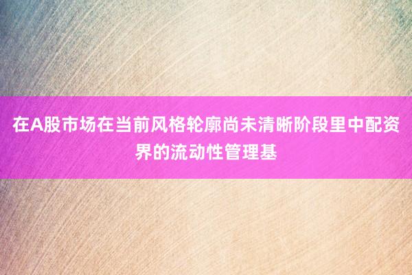 在A股市场在当前风格轮廓尚未清晰阶段里中配资界的流动性管理基