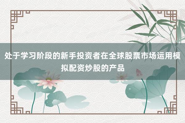 处于学习阶段的新手投资者在全球股票市场运用模拟配资炒股的产品