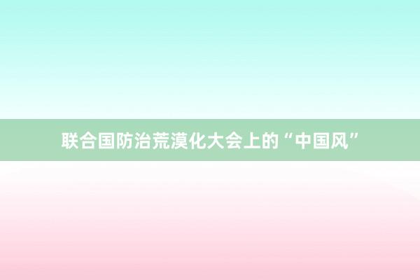 联合国防治荒漠化大会上的“中国风”