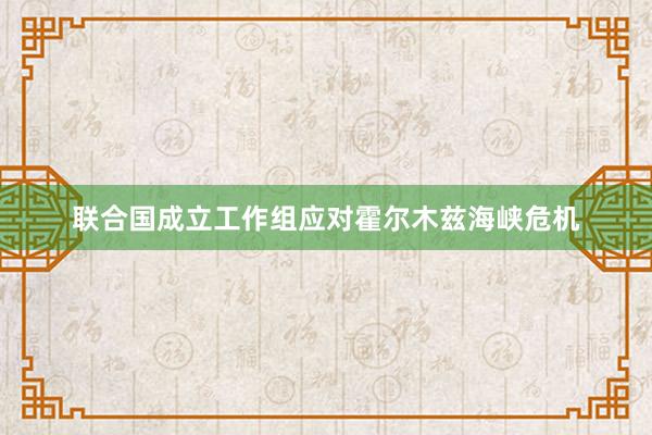 联合国成立工作组应对霍尔木兹海峡危机