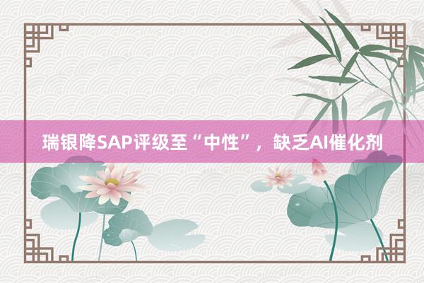 瑞银降SAP评级至“中性”，缺乏AI催化剂