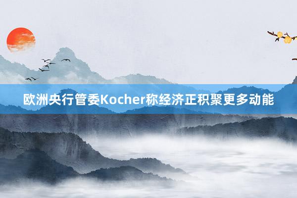欧洲央行管委Kocher称经济正积聚更多动能