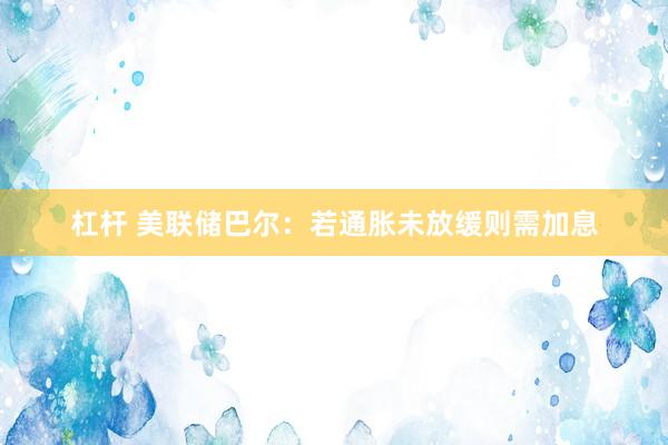 杠杆 美联储巴尔：若通胀未放缓则需加息