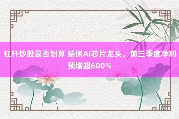 杠杆炒股是否划算 端侧AI芯片龙头，前三季度净利预增超600%