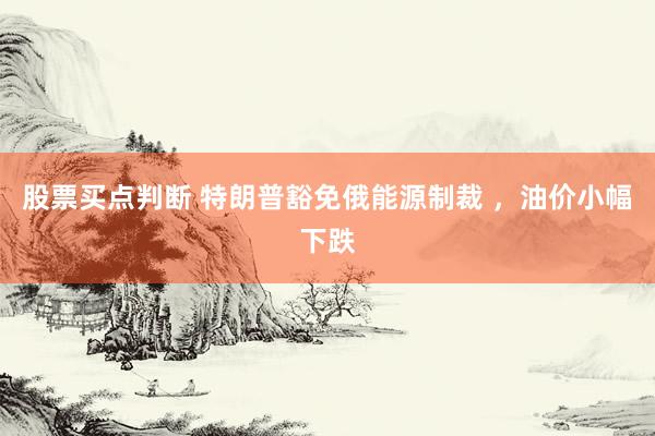 股票买点判断 特朗普豁免俄能源制裁 ，油价小幅下跌