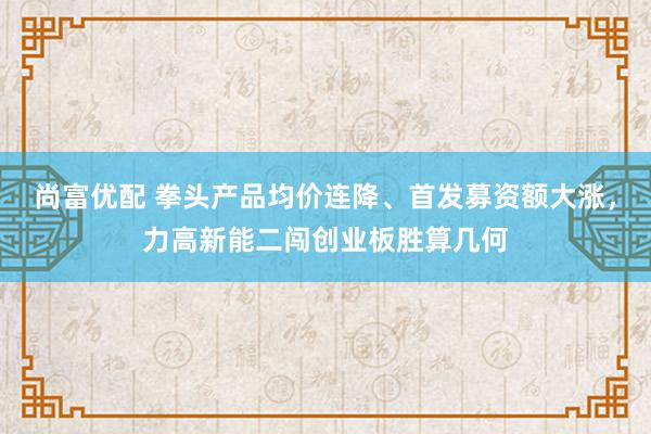 尚富优配 拳头产品均价连降、首发募资额大涨,力高新能二闯创业板胜算几何