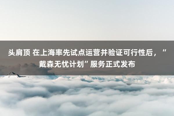 头肩顶 在上海率先试点运营并验证可行性后，“戴森无忧计划”服务正式发布