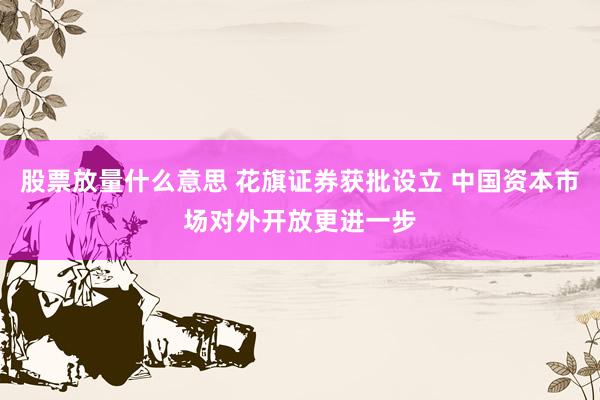 股票放量什么意思 花旗证券获批设立 中国资本市场对外开放更进一步